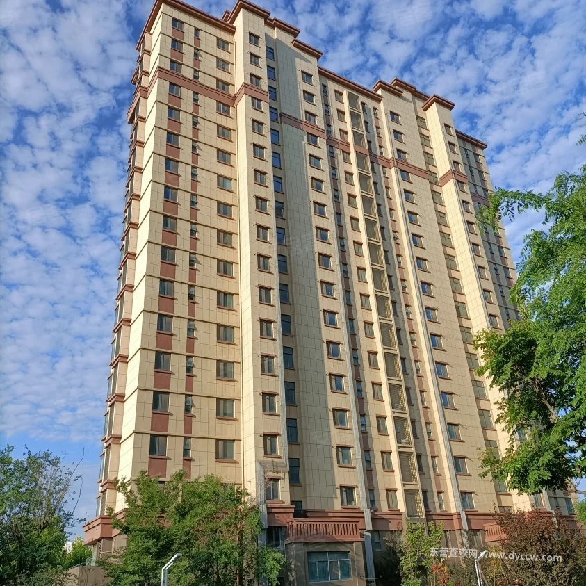 新区城市主人_宁阳路257号 图1
